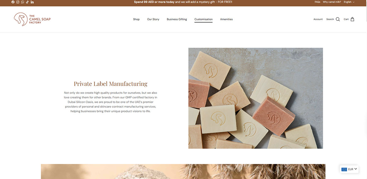 Private Label Shampoo Manufacturers in the UAE